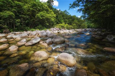 Mossman Gorge im Daintree Nationalpark